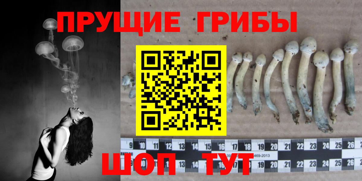 Белая Калитва  Псилоцибиновые грибы мухоморы  Вход с VPN  Псилоцибиновые грибы MAGIC MUSHROOMS 